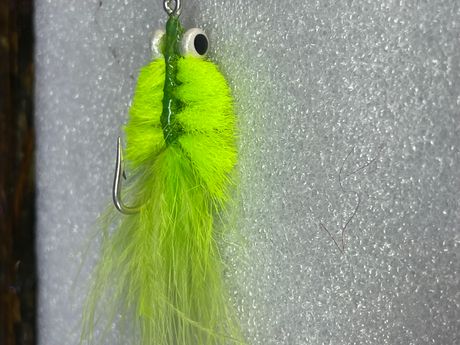 Tarpon toad chartreuse color