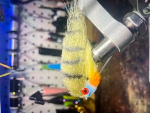 Ep silky finer bluegill