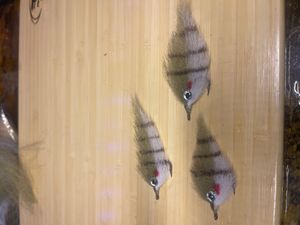 Ep pinfish