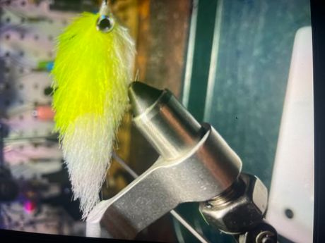 Chartreuse and white EP fiber minnow