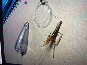 Popping, cork with shrimp fly added(a great speckled trout bait)