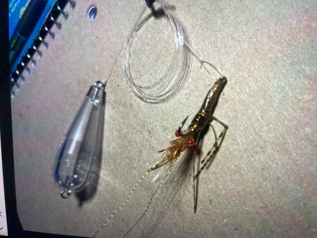 Popping, cork with shrimp fly added(a great speckled trout bait)