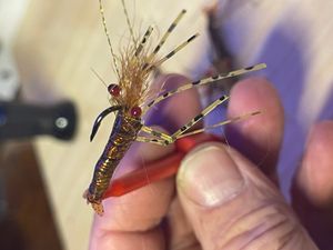 Pauls shrimp fly