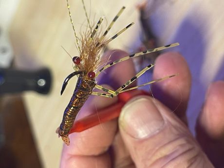 Pauls shrimp fly