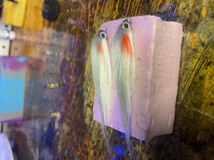 Gray and white and red craft fur minnow 