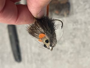 Field mouse 