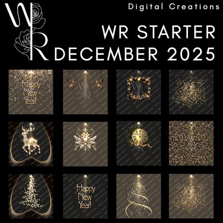 WR STARTER DECEMBER 2025