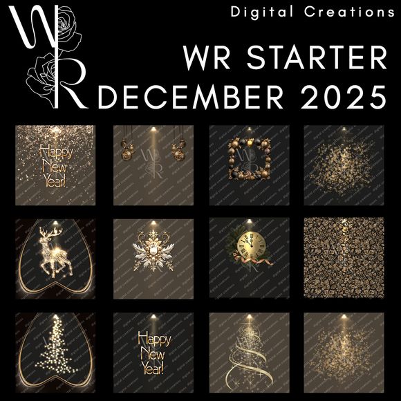 WR STARTER DECEMBER 2025