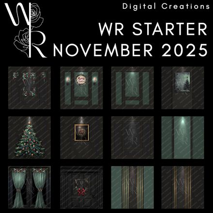 WR STARTER NOVEMBER 2025 