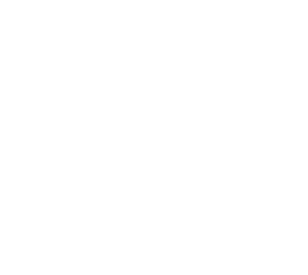 Project Motor Racing