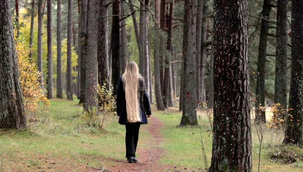 VIDEO - Rapunzel&#x27;s forest