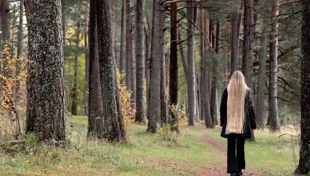 VIDEO - Rapunzel&#x27;s forest