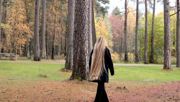 VIDEO - Rapunzel&#x27;s forest