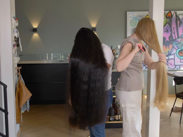 VIDEO - Two very impressive manes