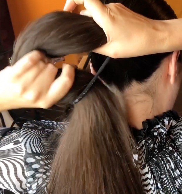 VIDEO - Thick mane measurement