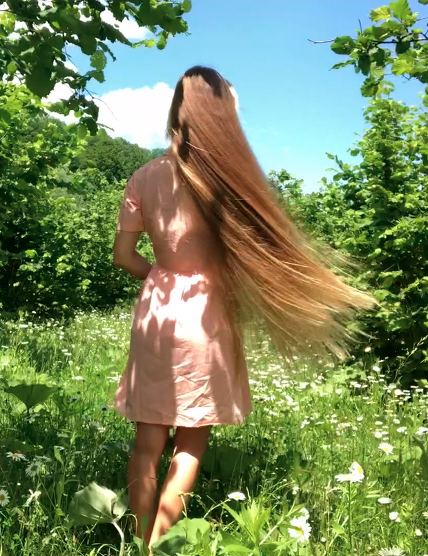 VIDEO - A field of flowers