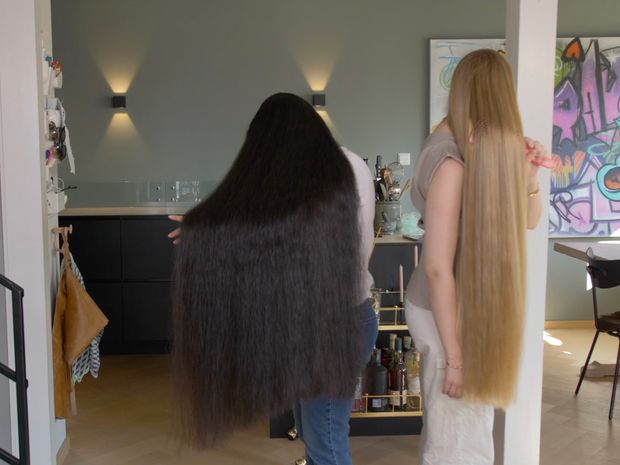VIDEO - Two very impressive manes