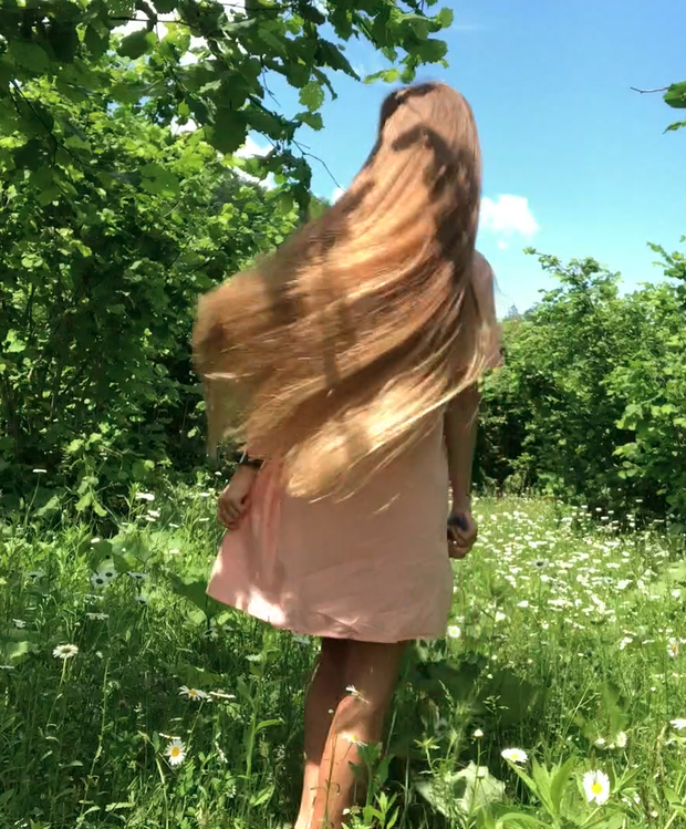 VIDEO - A field of flowers