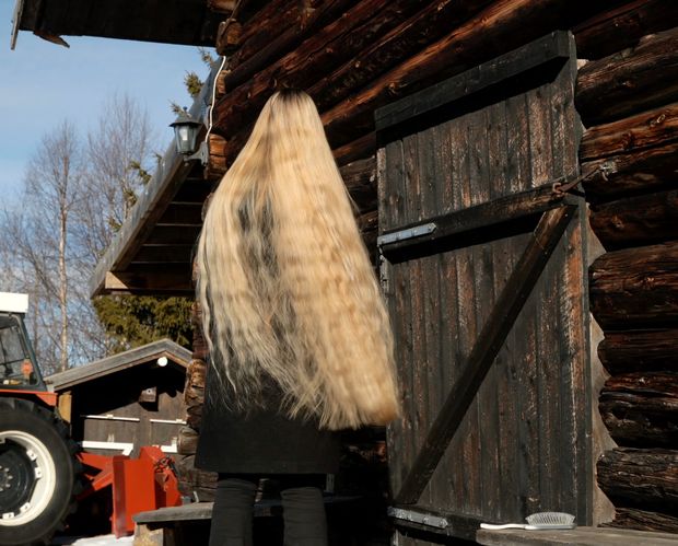 VIDEO - The old barn