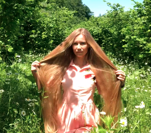 VIDEO - A field of flowers