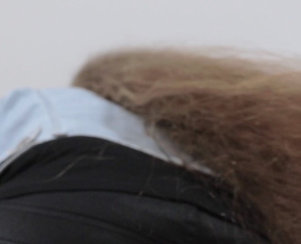 VIDEO - Siri&#x27;s massive mane vs. the camera