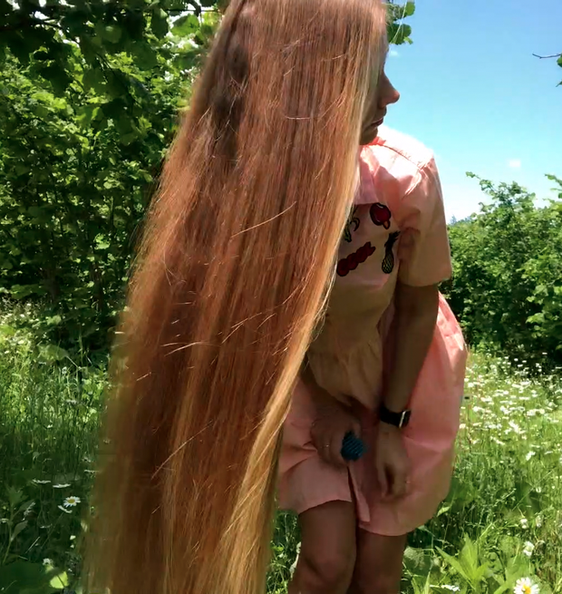 VIDEO - A field of flowers