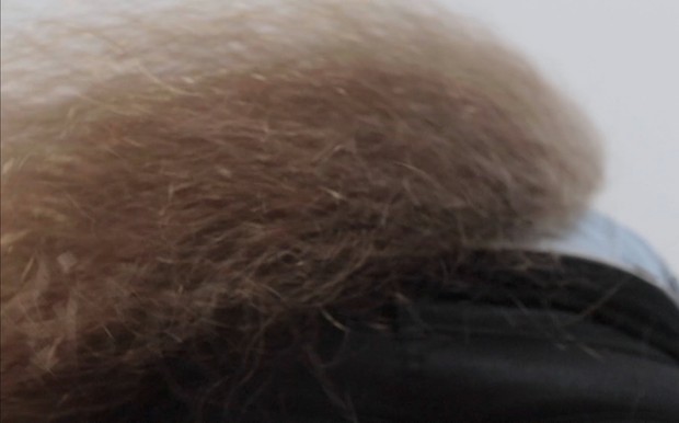VIDEO - Siri&#x27;s massive mane vs. the camera
