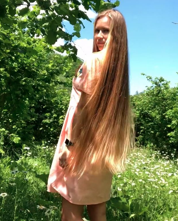 VIDEO - A field of flowers