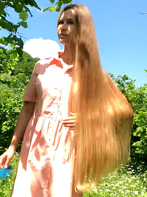 VIDEO - A field of flowers