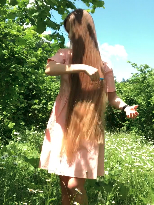 VIDEO - A field of flowers