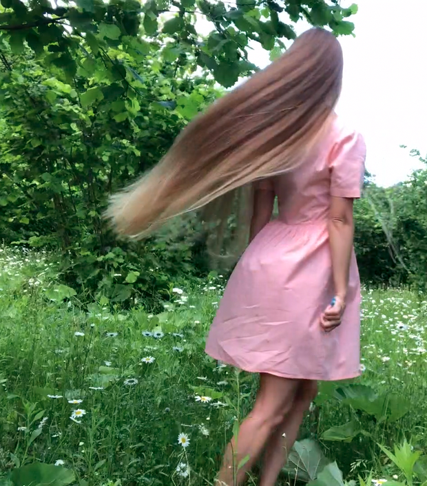 VIDEO - A field of flowers