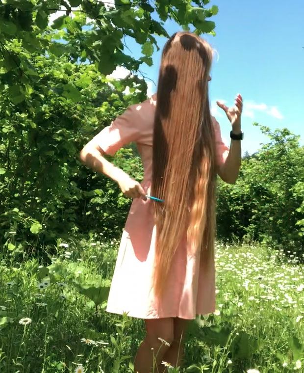 VIDEO - A field of flowers
