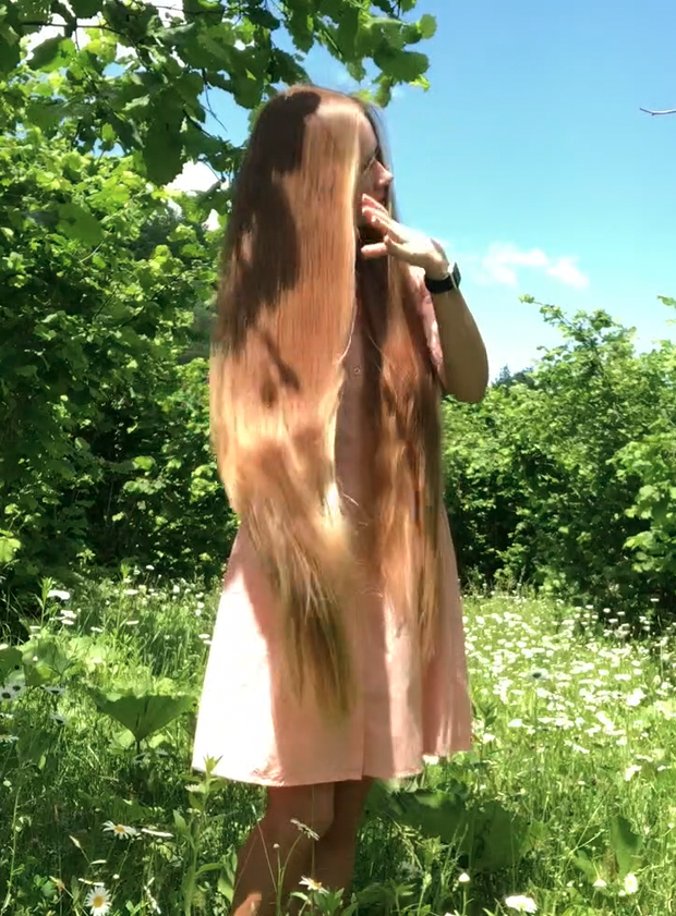 VIDEO - A field of flowers