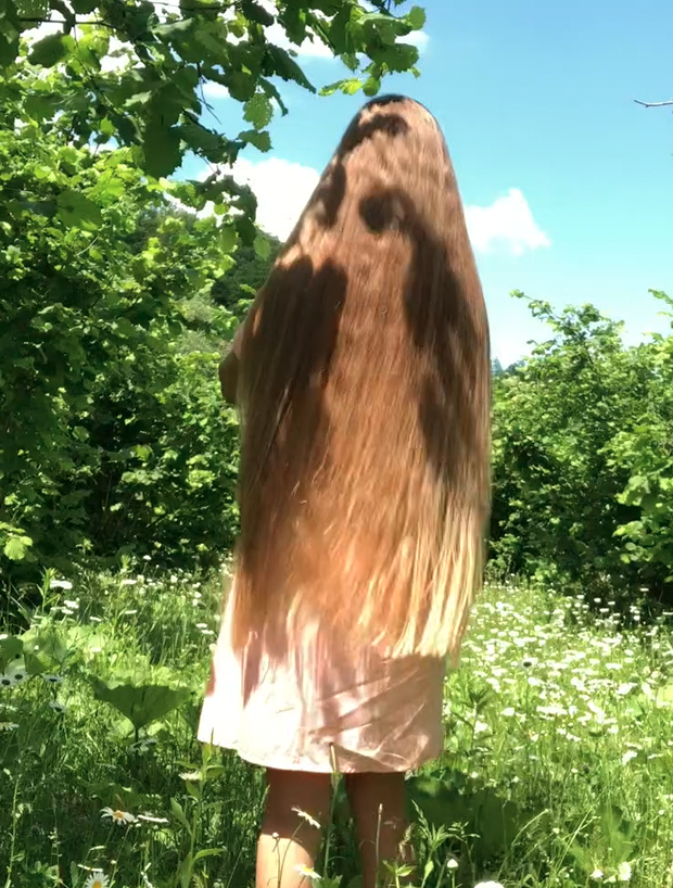 VIDEO - A field of flowers