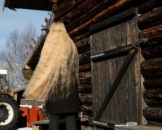 VIDEO - The old barn