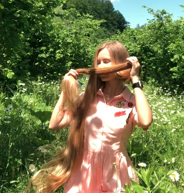 VIDEO - A field of flowers