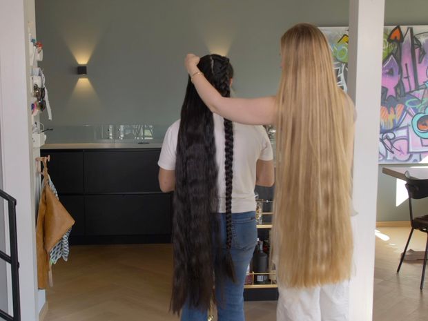 VIDEO - Two very impressive manes