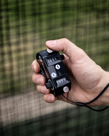 Pitch Count Dashboard