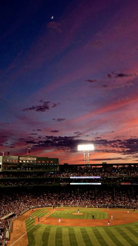 TEAM SPRING Season Recap Report