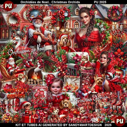 Orchidée de Noël  2025