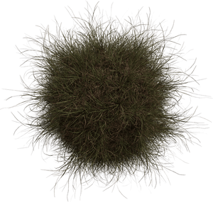 Elite Pack - Indoor Plant Collection