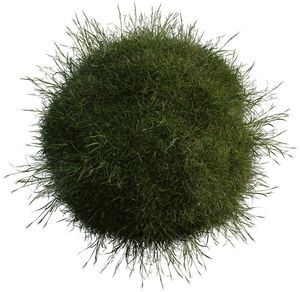 Advanced Pack - Indoor Plant Collection