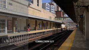 FREE - Conversion LUT  (SLOG to REC 709)