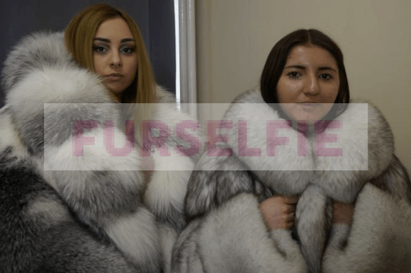 Gina In Big Shadow Fox with Eszter in Blue Fox Fur Coat