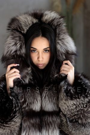 Fierce in Fox – Gigi in Blue &amp; Silver Fur