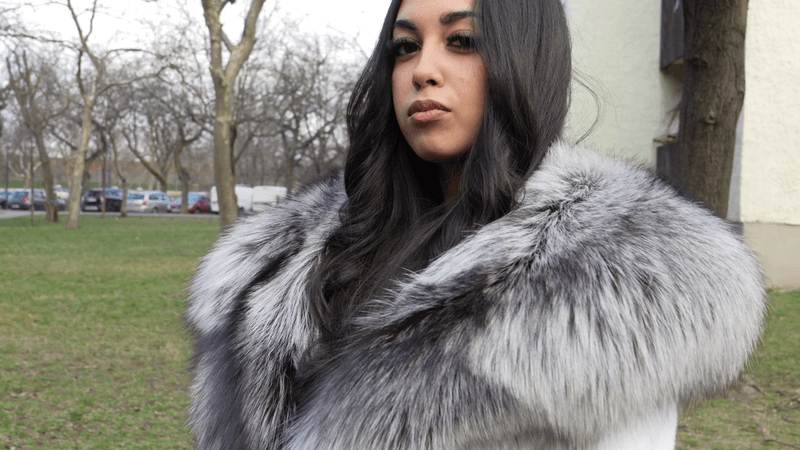 Gigi short walk in white mink with silver fox collar
