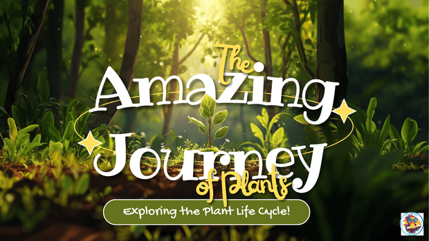 The Amazing Journey of Plants, Exploring the Plant Life Cycle