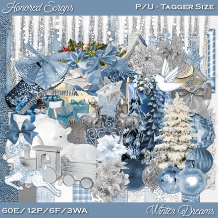 HS Winter Dreams - Tagger