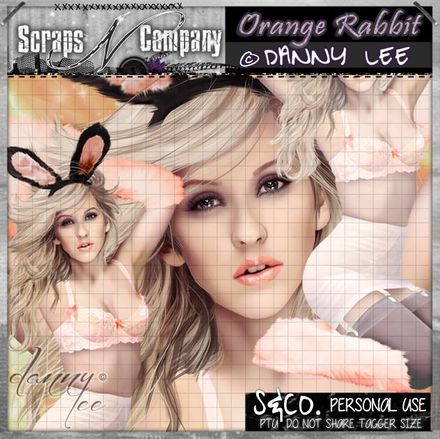 SNCO - Orange Rabbit