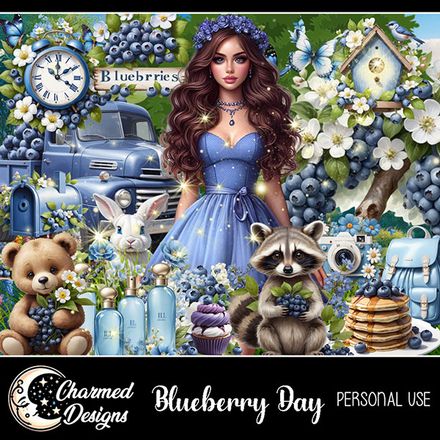 CD- Blueberry Day